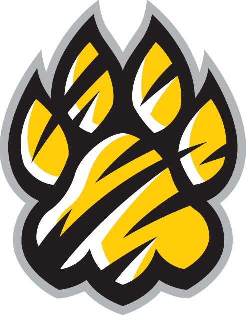 Towson Tigers 2004-Pres Alternate Logo v3 diy fabric transfers